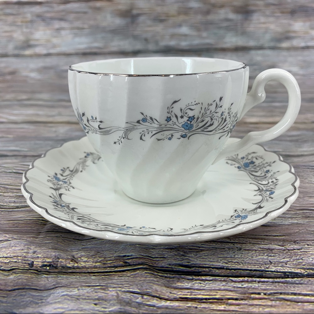 Johnson Brothers Ironstone 'Charmain' Vintage China Teacup and Saucer